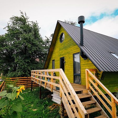 Wooden Cottage "Green House" In Bakuriani Ngoại thất bức ảnh