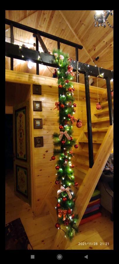 Wooden Cottage "Green House" In Bakuriani Ngoại thất bức ảnh